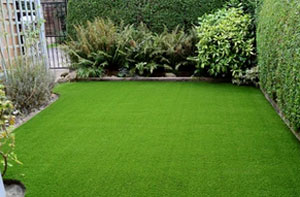 Grass Care Tips Burton-upon-Strather