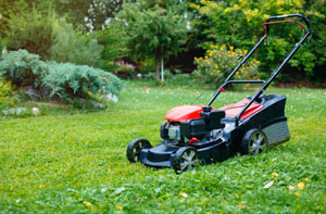 Lawn Care Thurcroft (S66) - Lawn Maintenance