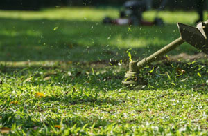 Lawn Care Cricklewood (NW2) - Lawn Maintenance