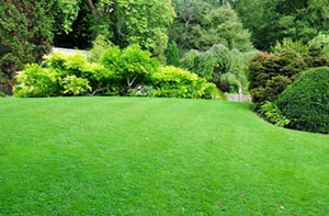 Grass Care Tips Hampstead