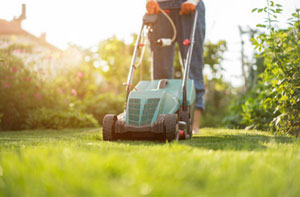 Lawn Care Services Newbridge UK