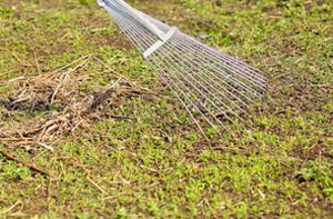 Lawn Dethatching Millom