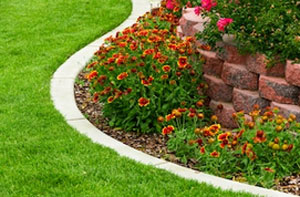 Lawn Edging Hartley (01474)