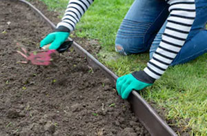 Lawn Edging Kings Langley (01923)