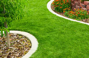 Lawn Edging Sidcup (020)