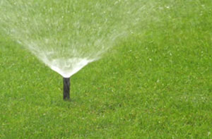 Lawn Irrigation Edlington