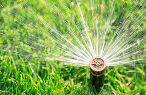 Lawn Irrigation Cadishead