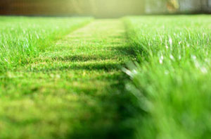 Lawn Mowing Woodstock UK