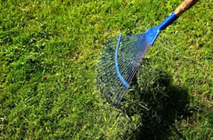 Lawn Care Services Newtownabbey UK