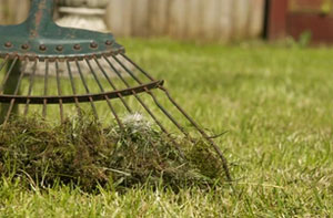 Lawn Scarifying Filey (YO14)