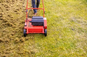 Lawn Scarifying Redcar (TS10)