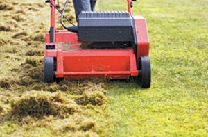 Lawn Scarifying Mapplewell (S75)