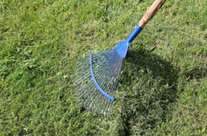 Lawn Care Services Writtle UK