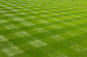 Lawn Treatment Bracebridge Heath (01522)