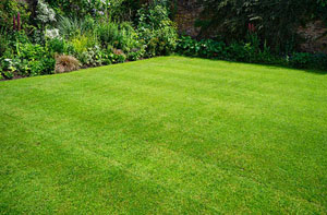 Lawn Mowing Topsham