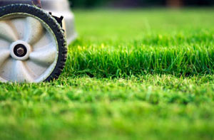 Lawn Mowing Banks UK