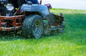 Grass Cutting Bingley West Yorkshire (BD16)