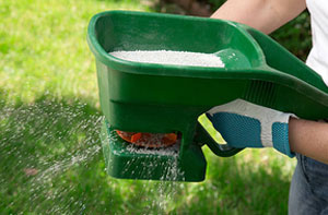 Lawn Fertilisation in Cricklade