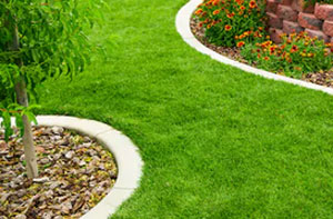 Lawn Edging Lawn Edging Wimborne Minster