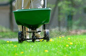 Lawn Fertilisation in Hinton