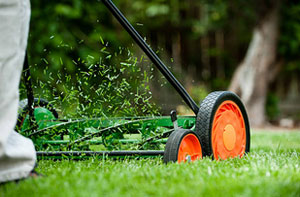 Mulch Mowing Dawley